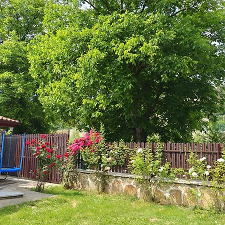 тепавица - Pool & Coworking *